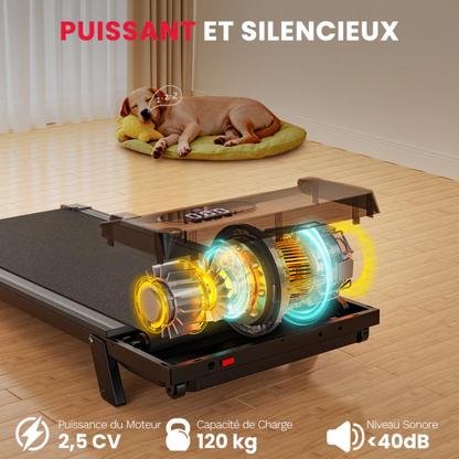 TAPIS DE MARCHE MCT-2 INCLINABLE